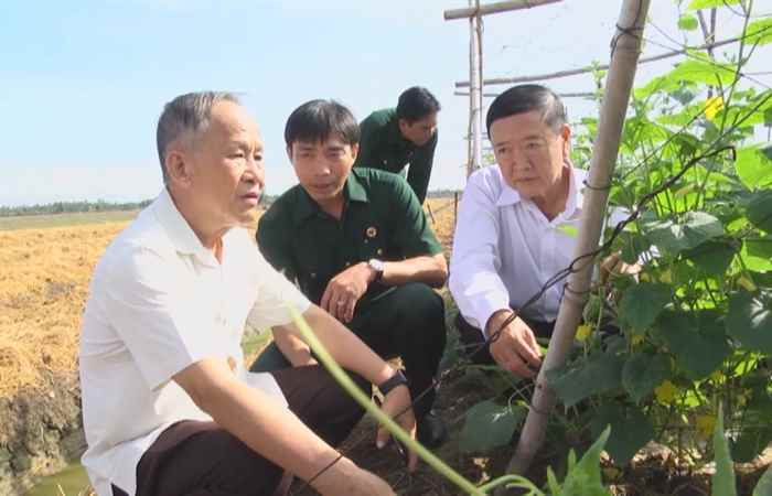 Chuyên mục Cựu chiến binh - Hội cựu chiến binh xã Trường Khánh với vai trò nòng cốt ở địa phương (19-06-2020)